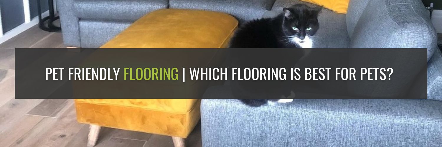 Pet Friendly Flooring | Which Flooring is Best for Pets?